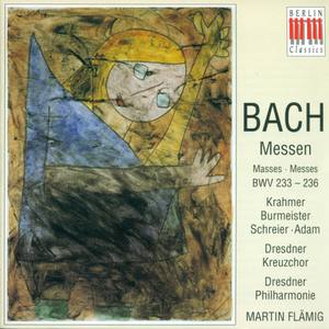 Mass in A Major, BWV 234: No. 4, Qui tollis peccata mundi
