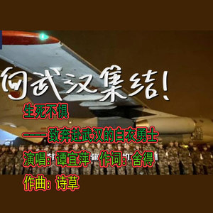 生死不惧----致奔赴武汉的白衣勇士