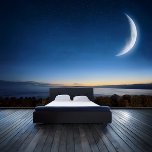 Latidos Pacíficos De La Noche