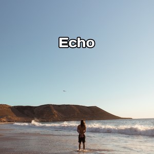 Echo (Remix)