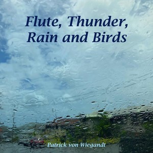 Flute, Thunder, Rain and Birds