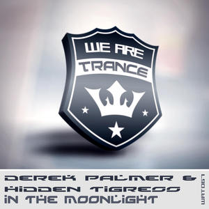 In The Moonlight (Extended Mix)