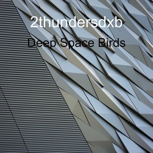 Deep Space Birds