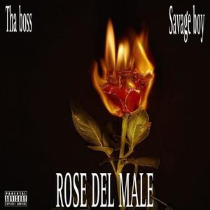ROSE DEL MALE (feat. Tha Boss) (Explicit)