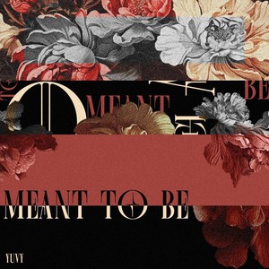 MEANT TO BE (Explicit)