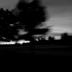 virgil (feat. Br!zzy) (Explicit)