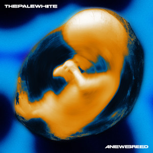 The Pale White - Time Bomb