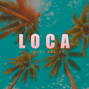 LOCA (Explicit)