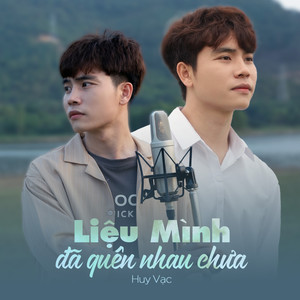 Liệu Mình Đã Quên Nhau Chưa