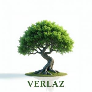 Self-medication (feat. Kai-Ju) (Explicit)