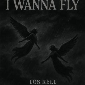 I Wanna Fly