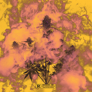 Kush Song (Explicit)