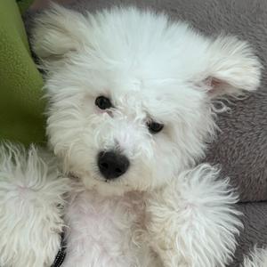 how u doin? (Explicit)