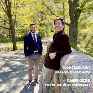 Arpeggione Sonata, D. 821 - I. Allegro Moderato