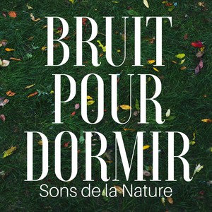Réduire l'Anxiété avec sons de la nature