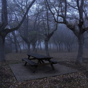 cardigan (instrumental slowed & reverb with rain)