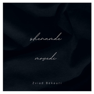 Shenamde Movedi (Zviad Bekauri Remix)