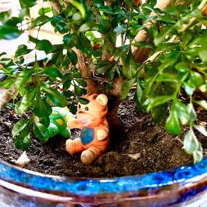 写给我家狗的歌