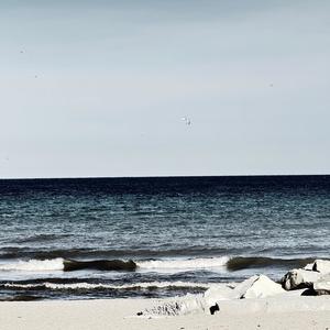 Mugiwara Nakama! (Explicit)