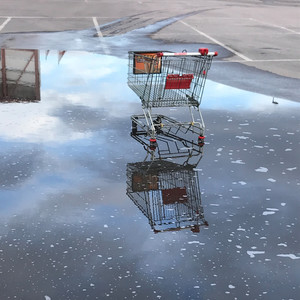 Sorteras inte under Disco