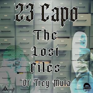 The Lost Files Of Trey Mula (Explicit)