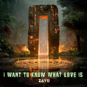 I Want to Know What Love Is (feat. Hitkend House Lab)