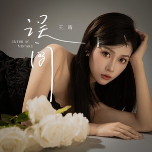 王晴 - 误闯