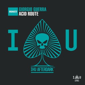 Acid Route (Original Mix)