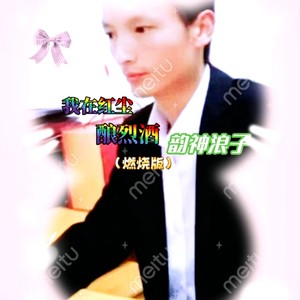 我在红尘酿烈酒 (燃烧版)