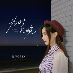 为时已晚