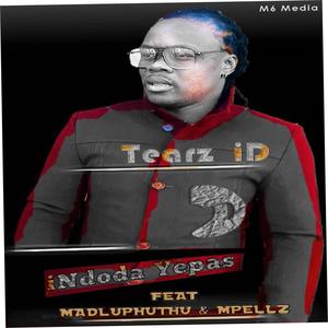 INDODA YEPAS