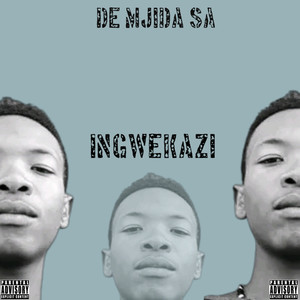 Ingwekazi