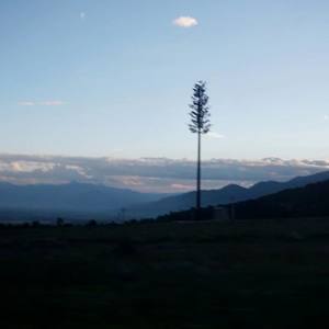 忧忧夏日2.0（prod.新约克）