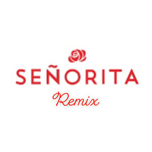 Señorita (Remix)