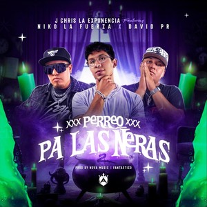 Perreo Pa Las Ñeras 2 (feat. Niko La Fuerza Del Area & David Pr) [Explicit]