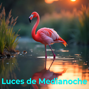 Luces de Medianoche