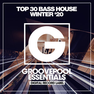 Top 30 Bass House Winter '20