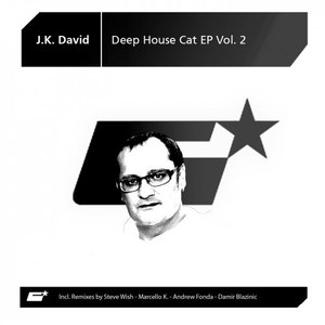 Get Up(For Chicago) (Matthew Landvid Mix)