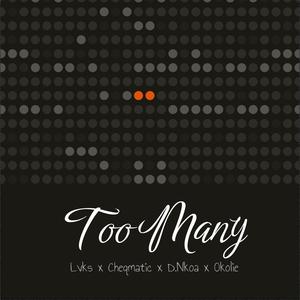 Too Many (feat. Cheqmatic, D.Nkoa & Okolie) (Explicit)