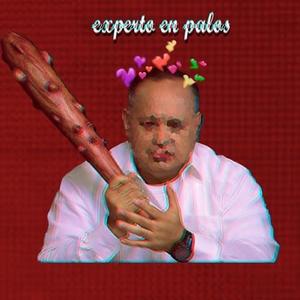 Experto en Palos (Explicit)