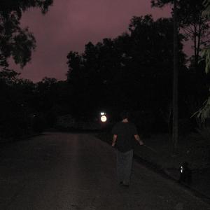 self Destructive (Explicit)