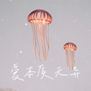 爱本质无异（唯一）