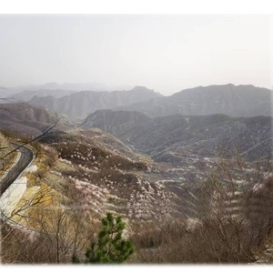 春.看看走走闻闻