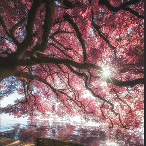 SHA8 - We Are The World