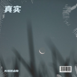 真实(心痛比快乐更真实)-长情斑点狗