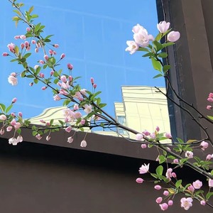 孟婆赐我一碗汤 (沧桑男声版)封面