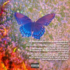 The Butterfly Effect (Explicit)