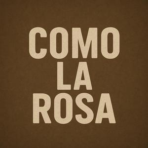 Como La Rosa (feat. Mercado Negro) (Explicit)
