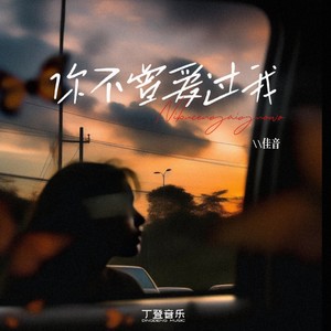 你不曾爱过我 (佳音版)