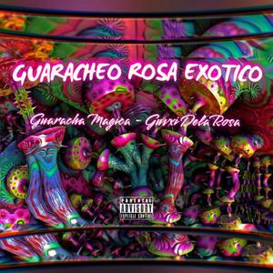 Guaracha Magica